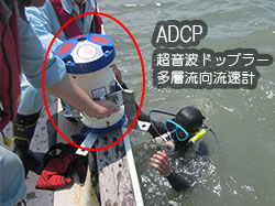 ADCP (超音波ドップラー多層流向流速計)