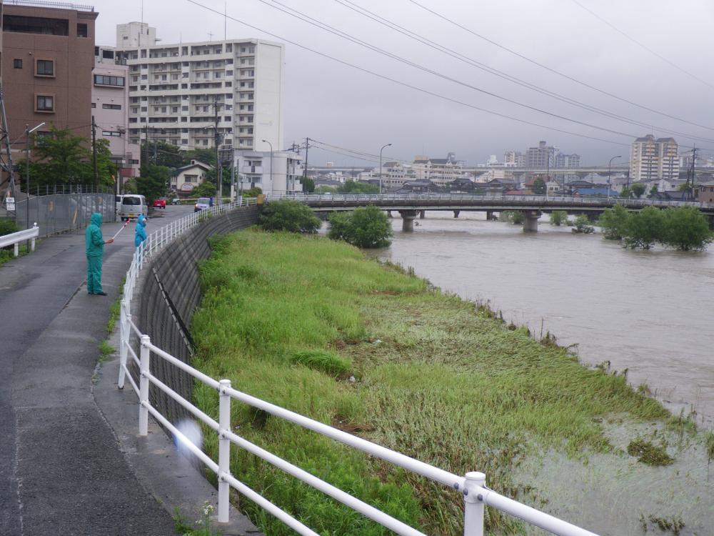 洪水（浮子）