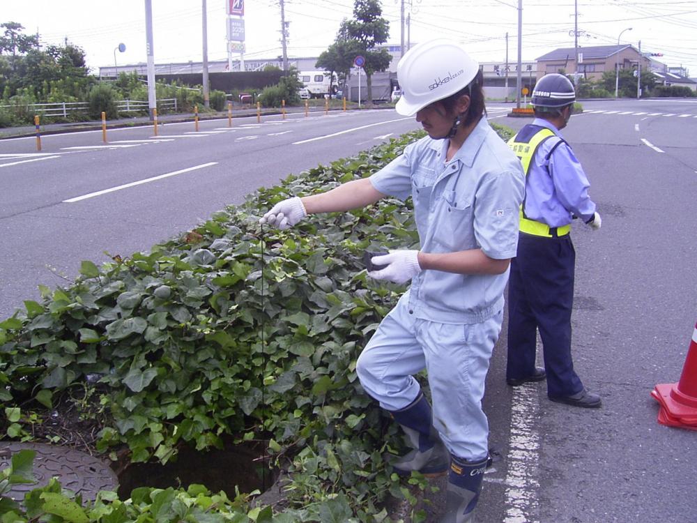 安全について